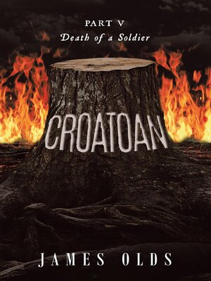cover image of Death of a Soldier